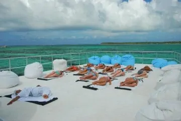 Dr Fish Punta Cana Go Services Tours 3