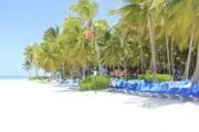 Saona Island From Punta Cana Go Services Tours 1