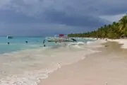Saona Island From Punta Cana Go Services Tours 3