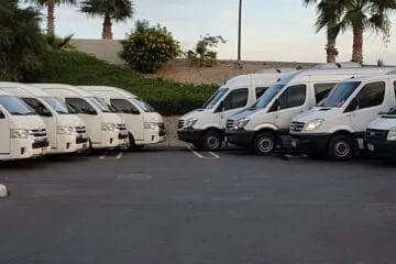 In Punta Cana Go Services Tours 17