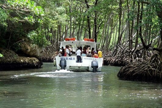 Haitises Park From Punta Cana Go Services Tours 1