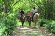 Safari Higuey Go Servicios Tours 2