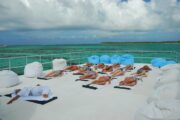 Dr Fish Punta Cana Go Services Tours 3
