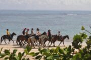 Paseos a Caballo Desde Punta Cana Go Services Tours 1