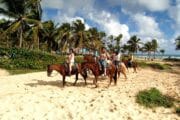 Paseos a Caballo Desde Punta Cana Go Services Tours 2