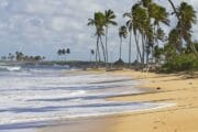 Paseos a Caballo Desde Punta Cana Go Services Tours 3