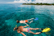 Punta Cana Speed Boat Tour Y Snorkeling Go Services Tours