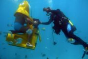 Scubadoo Diving Punta Cana Go Services Tours 1