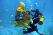 Scubadoo Diving Punta Cana Go Services Tours 5