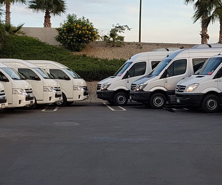 In Punta Cana Go Services Tours 17